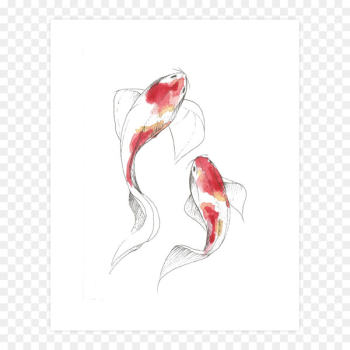 Watercolor painting Drawing Art Koi - painting Watercolor painting Drawing Art Koi - painting