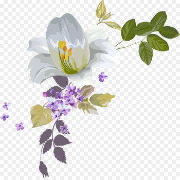 Watercolor painting Drawing Clip art - Water colours decorate beautiful flowers 