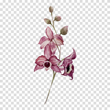 Watercolor painting Drawing Flower Orchids, sea buckthorn transparent background PNG clipart