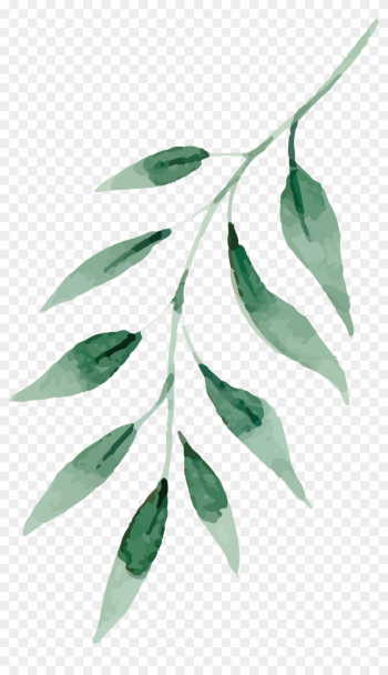 Watercolor Painting Drawing Leaf - Leaves Watercolor Png Watercolor Painting Drawing Leaf - Leaves Watercolor Png