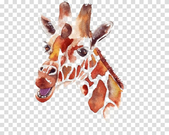 Watercolor painting Drawing Northern giraffe, deer transparent background PNG clipart
