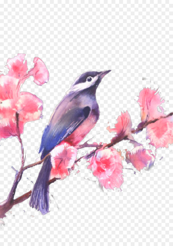 Watercolor Painting, Drawing, Painting, Bird, Watercolor Paint PNG