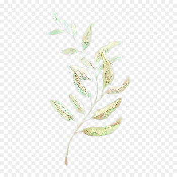 Watercolor Painting, Drawing, Painting, Plant, Flower PNG Watercolor Painting, Drawing, Painting, Plant, Flower PNG