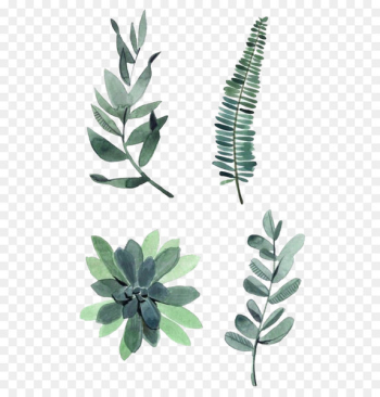 Watercolor painting Drawing Plant Illustration - Watercolor leaves 