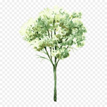 Watercolor painting Drawing Shrub Tree - tree,Trees Watercolor painting Drawing Shrub Tree - tree,Trees