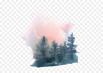 Watercolor painting Drawing - Watercolor pine forest Watercolor painting Drawing - Watercolor pine forest