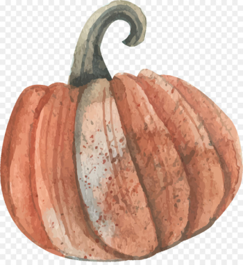 Watercolor painting Euclidean vector Download - Watercolor pumpkin vector 