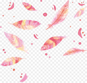 Watercolor painting Feather Bird - Watercolor romantic pink feathers 