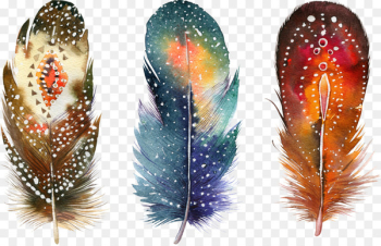 Watercolor painting Feather Drawing Poster - Fancy feathers Watercolor painting Feather Drawing Poster - Fancy feathers