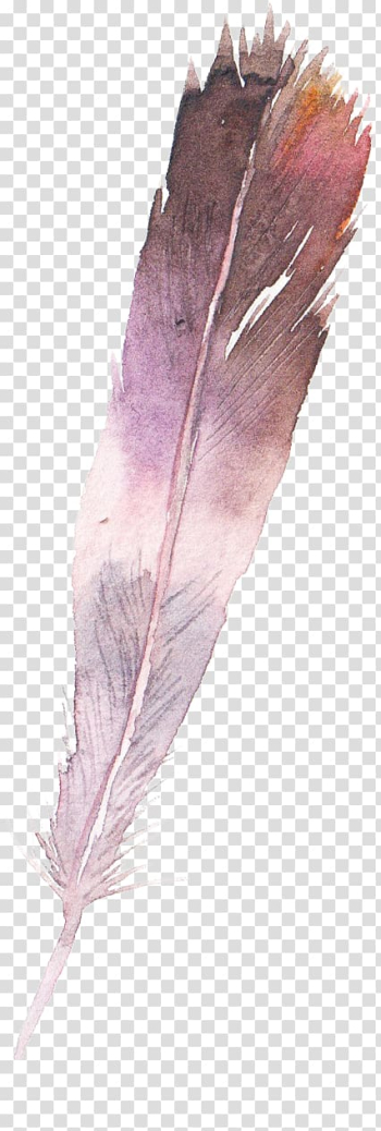 Watercolor painting Feather, feather transparent background PNG clipart Watercolor painting Feather, feather transparent background PNG clipart