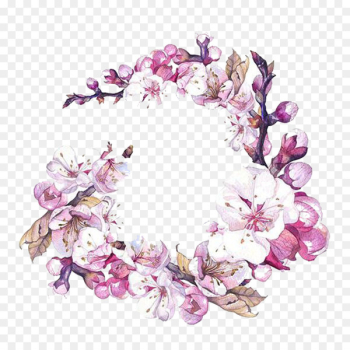 Watercolor painting Flower Art Cherry blossom - Pear Wreath picture material 