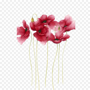 Watercolor painting Flower Drawing Art - Watercolor flowers Watercolor painting Flower Drawing Art - Watercolor flowers