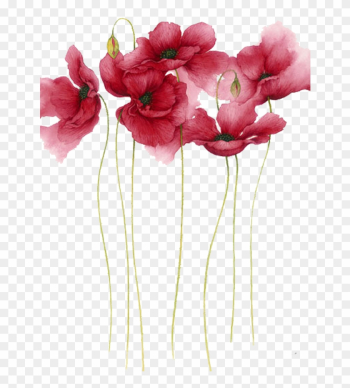 Watercolor Painting Flower Drawing Art - Watercolor Flowers Watercolor Painting Flower Drawing Art - Watercolor Flowers