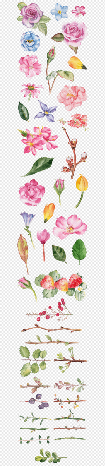 Watercolor painting Flower Drawing Illustration, Rose watercolor, assorted-color flowers with blue background, watercolor Leaves, flower Arranging, painting png