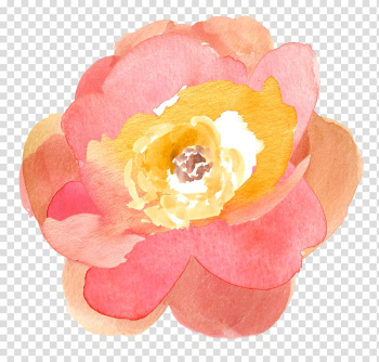 Watercolor painting Flower Drawing , watercolor flower transparent background PNG clipart