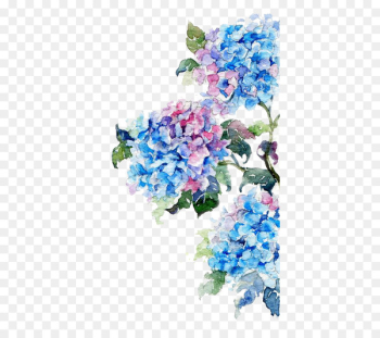 Watercolor painting Flower Drawing - Watercolor flowers Watercolor painting Flower Drawing - Watercolor flowers