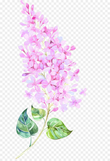 Watercolor painting Flower Floral design - Floating Flower Watercolor painting Flower Floral design - Floating Flower