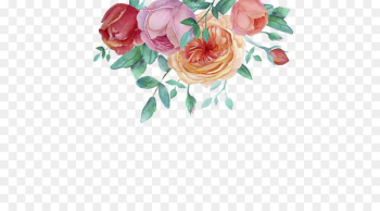 Watercolor painting Flower Garden roses - Hand-painted watercolor flower decorative frame 