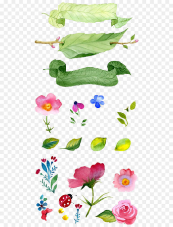 Watercolor painting Flower Illustration - Hand-painted flowers 