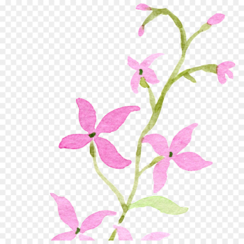 Watercolor painting Flower Purple Image Violet - flower Watercolor painting Flower Purple Image Violet - flower