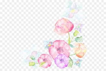 Watercolor painting Flower - Watercolor flowers album Watercolor painting Flower - Watercolor flowers album