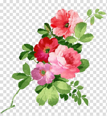 Watercolor painting Flower, Watercolor roses transparent background PNG clipart Watercolor painting Flower, Watercolor roses transparent background PNG clipart
