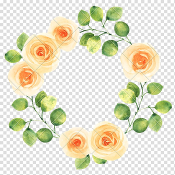 Watercolor painting Flower , watercolor white flower transparent background PNG clipart