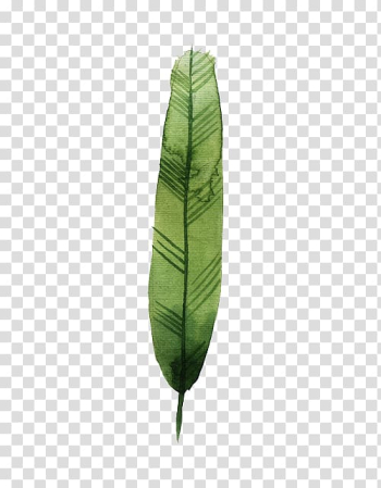 Watercolor painting Green, Watercolor feather transparent background PNG clipart Watercolor painting Green, Watercolor feather transparent background PNG clipart