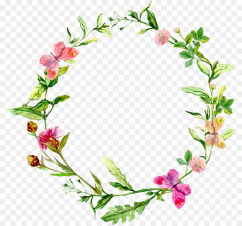 Watercolor painting Herb Stock photography - flower circle Watercolor painting Herb Stock photography - flower circle
