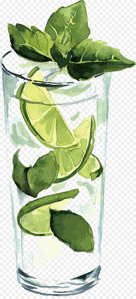 Watercolor painting Illustration - Vector lemonade Watercolor painting Illustration - Vector lemonade