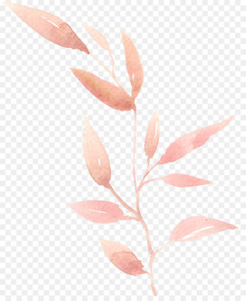 Watercolor painting Leaf - Hand-painted watercolor leaves Watercolor painting Leaf - Hand-painted watercolor leaves