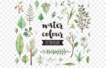 Watercolor painting Leaf Icon - Vector diagram leaf shading Watercolor painting Leaf Icon - Vector diagram leaf shading