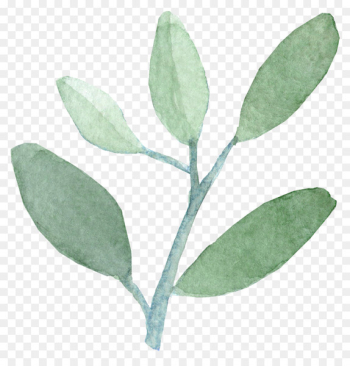 Watercolor painting Leaf India ink - watercolor leaves Watercolor painting Leaf India ink - watercolor leaves