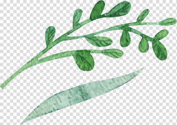 Watercolor painting Leaf, leaf transparent background PNG clipart Watercolor painting Leaf, leaf transparent background PNG clipart