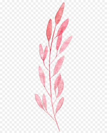 Watercolor painting Leaf Pink Drawing - Watercolor leaves Watercolor painting Leaf Pink Drawing - Watercolor leaves