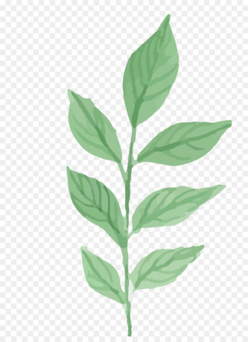 Watercolor painting Leaf - Watercolor plants Watercolor painting Leaf - Watercolor plants