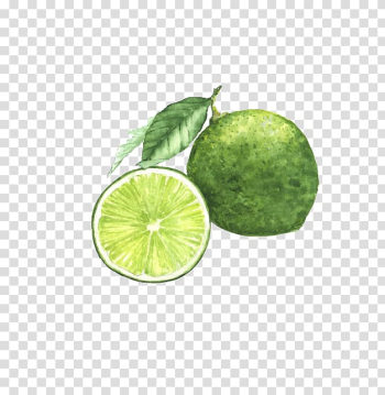 Watercolor painting Lemon Lime , Blue lemon transparent background PNG clipart Watercolor painting Lemon Lime , Blue lemon transparent background PNG clipart