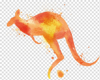 Watercolor painting Macropodidae Kangaroo, kangaroo transparent background PNG clipart