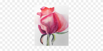 Watercolor Painting Of Flower Rose Watercolor Painting Of Flower Rose