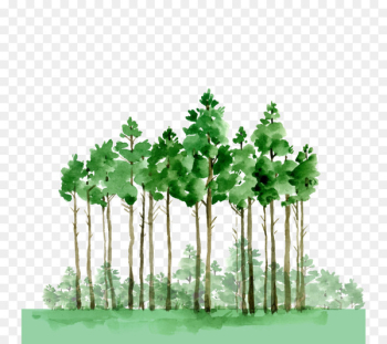 Watercolor painting Oil paint Drawing - Vector green forest Watercolor painting Oil paint Drawing - Vector green forest