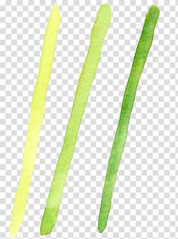 Watercolor painting Onion, Watercolor painting onion transparent background PNG clipart