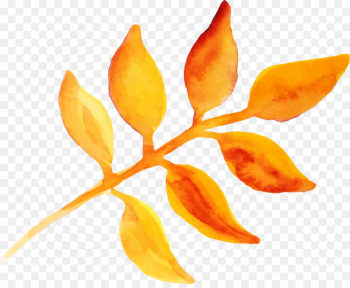 Watercolor Painting, Painting, Maltechnik, Orange, Flower PNG
