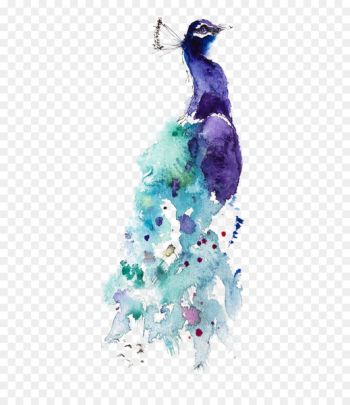 Watercolor painting Peafowl Drawing Art - Watercolor Peacock Watercolor painting Peafowl Drawing Art - Watercolor Peacock