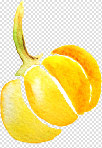 Watercolor painting Pumpkin , Watercolor pumpkin transparent background PNG clipart Watercolor painting Pumpkin , Watercolor pumpkin transparent background PNG clipart