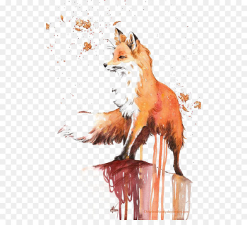 Watercolor painting Red fox Drawing - fox 