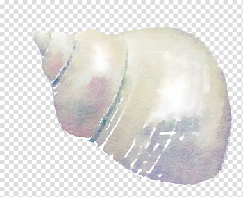Watercolor painting Seashell , seashell transparent background PNG clipart Watercolor painting Seashell , seashell transparent background PNG clipart