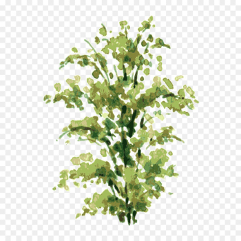 Watercolor painting Shrub Drawing Illustration - tree,Trees 