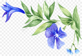 Watercolor painting Stock photography Vector graphics - Watercolor painting Stock photography Vector graphics -