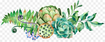 Watercolor painting Succulent plant Cactaceae - Hand-painted Plants 