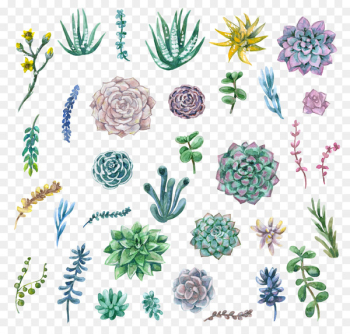 Watercolor painting Succulent plant Clip art - succulent plants 